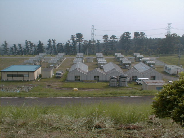 �_���K�X�E�J���I�����ݔ�