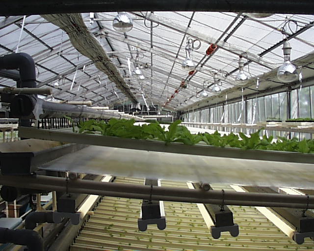 ���ꂪ��؍H��ł��B