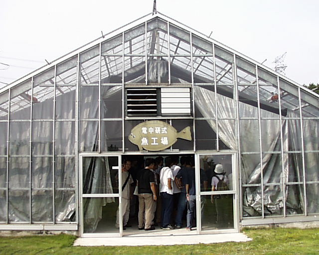 ���ꂪ���H��ł��B