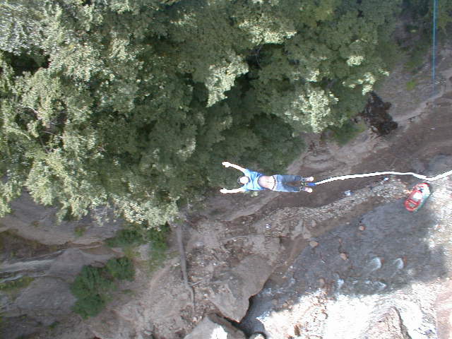 �o�b�N�ł�