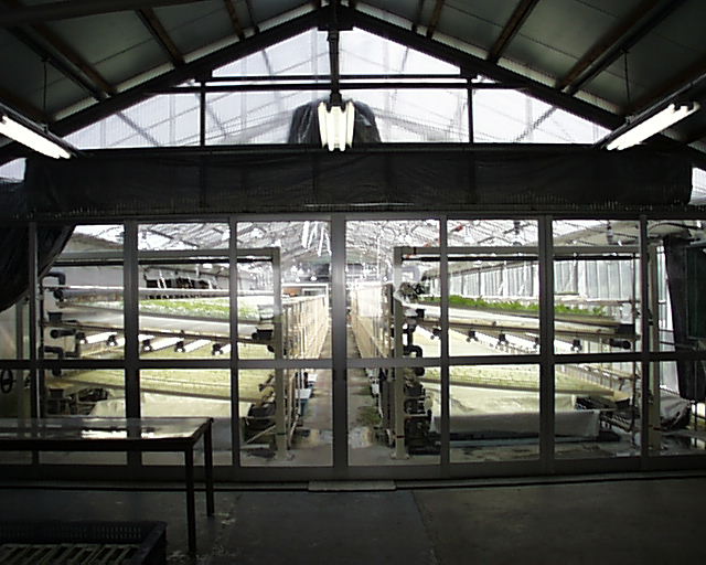 ��؍H��ł��B