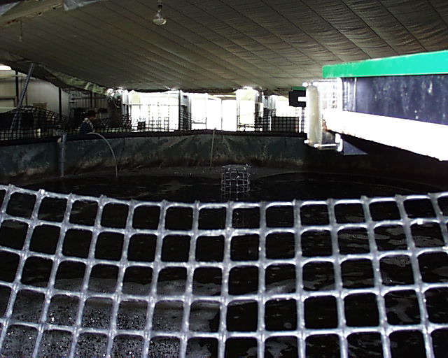 �q�����ł��B