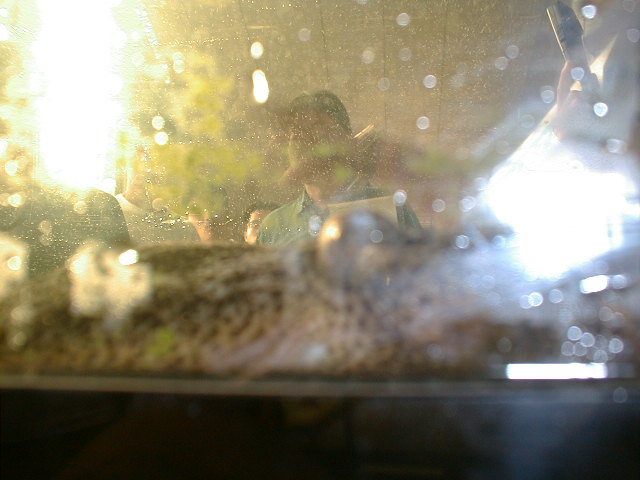 �q�����ł��B