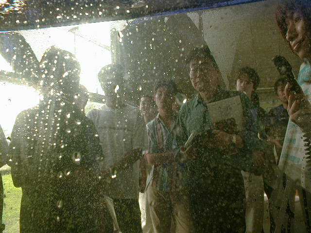 �q�����ł��B