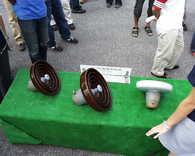 �V�q�ł��B