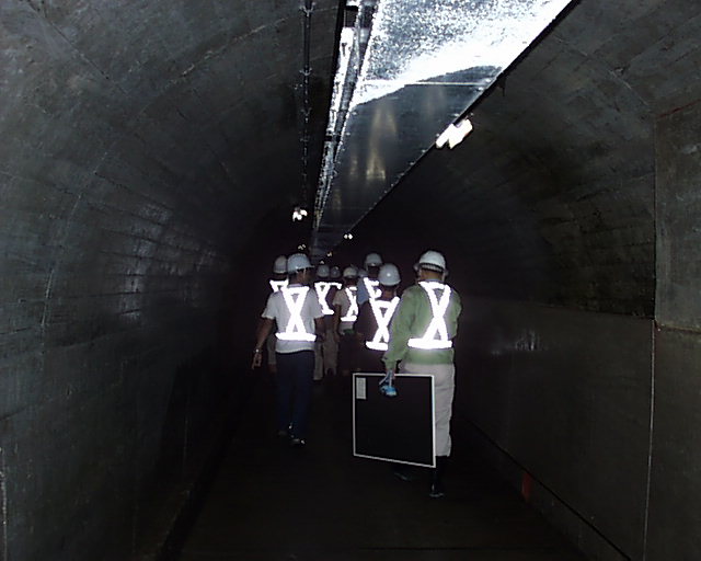 �_�����͊����B